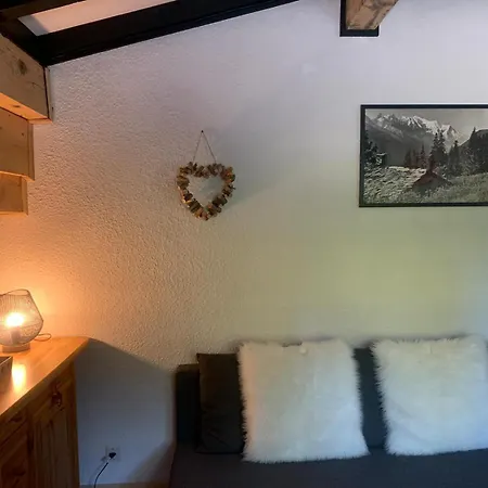 公寓 Bouquetin Cosy *